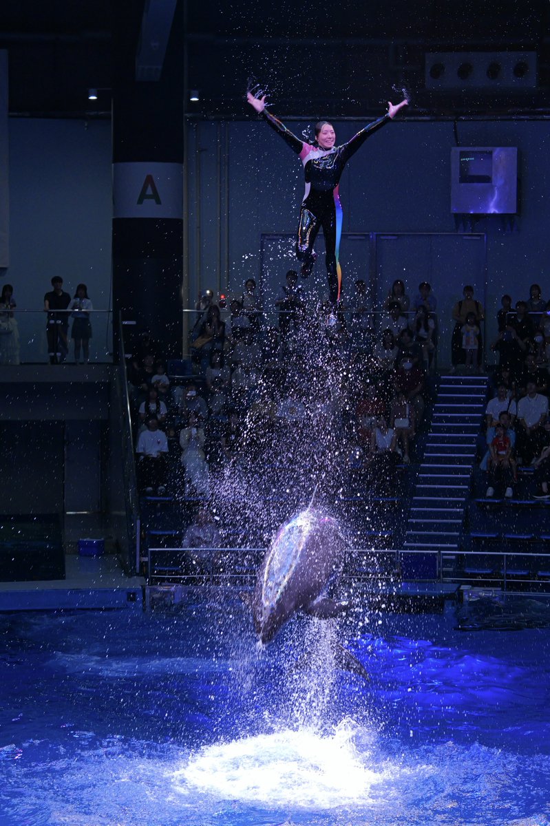 Nyama46042714's tweet image. 昼の部、先日のLUMIXアカデミーのときより飛んでいる
#LUMIX 
#GH7 
#LUMIXGH7 
#マクセルアクアパーク品川
#アクアパーク品川
#ドルフィンパフォーマンス