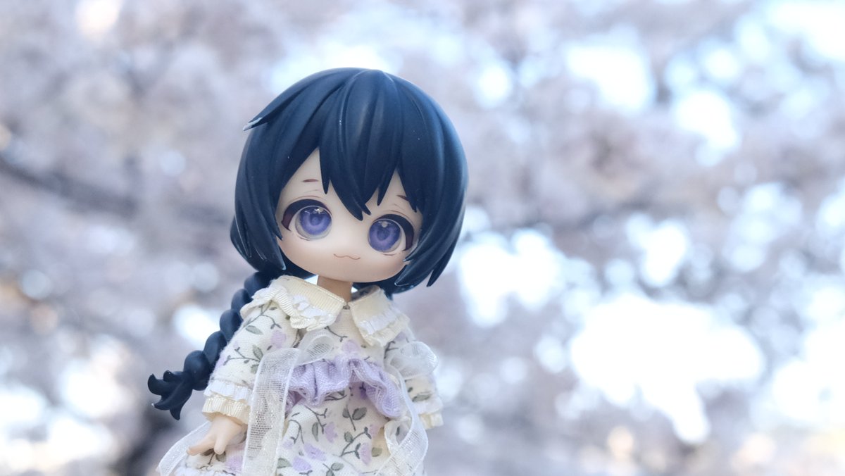 오비츠는 너무 작아서 실외사진에선 구도잡기가 어렵더라구요 ;ㅁ;
연구해봐야겟습니다....