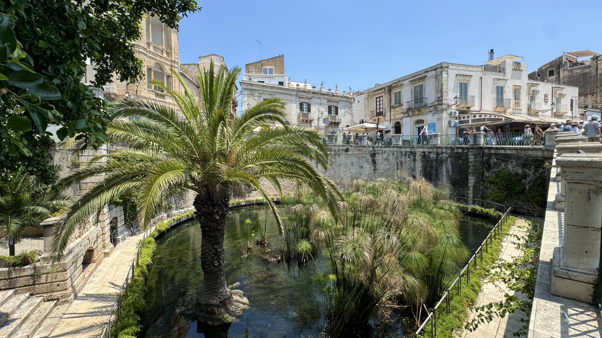 Ecco alcuni scatti tratti dall'ultimo viaggio in Sicilia orientale organizzato del Club di Cultura Classica 😍 

Vi mostriamo i luoghi che hanno incantato i nostri #CompagniDiClassici 📷 ❤️

Scopri tutte le nostre attività sul sito clubculturaclassica.it