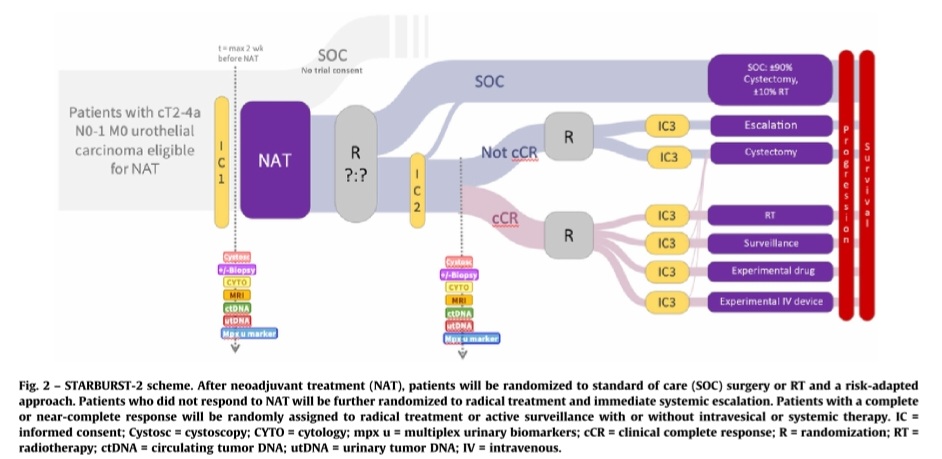 Dra. María Natalia Gandur Quiroga (@nataliagandur) on Twitter photo 🌟Challenges in Defining Clinical CR to Systemic Therapy in MIBC🌟
<a href="/EORTC/">EORTC</a> #STARBURST project
🖋️ Alexandra Masson-Lecomte @AFUrology, Guillaume Grisay, <a href="/vandamme_jvd/">Julien Van Damme</a>, <a href="/Achard_Verane/">Vérane Achard</a> , <a href="/LAUrology_NL/">Laura S. Mertens</a>, <a href="/robert_huddart/">Robert Huddart💙</a>, <a href="/frasor86/">francesco soria</a>, <a href="/LDyrskjot/">Lars Dyrskjøt</a>, Yves Allory <a href="/institut_curie/">Institut Curie</a>, 🌟Challenges in Defining Clinical CR to Systemic Therapy in MIBC🌟
<a href="/EORTC/">EORTC</a> #STARBURST project
🖋️ Alexandra Masson-Lecomte @AFUrology, Guillaume Grisay, <a href="/vandamme_jvd/">Julien Van Damme</a>, <a href="/Achard_Verane/">Vérane Achard</a> , <a href="/LAUrology_NL/">Laura S. Mertens</a>, <a href="/robert_huddart/">Robert Huddart💙</a>, <a href="/frasor86/">francesco soria</a>, <a href="/LDyrskjot/">Lars Dyrskjøt</a>, Yves Allory <a href="/institut_curie/">Institut Curie</a>,