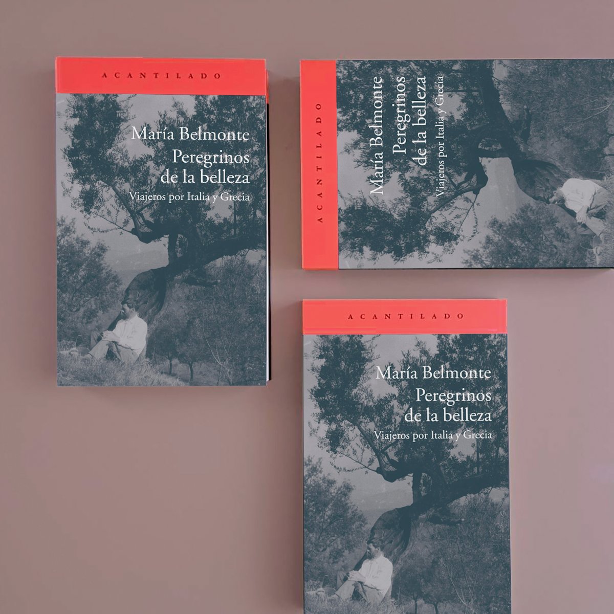 Hoy celebramos la duodécima edición de «Peregrinos de la belleza. Viajeros por Italia y Grecia», de María Belmonte.

ℹ️«Peregrinos de la belleza»: acantilado.es/catalogo/pereg…