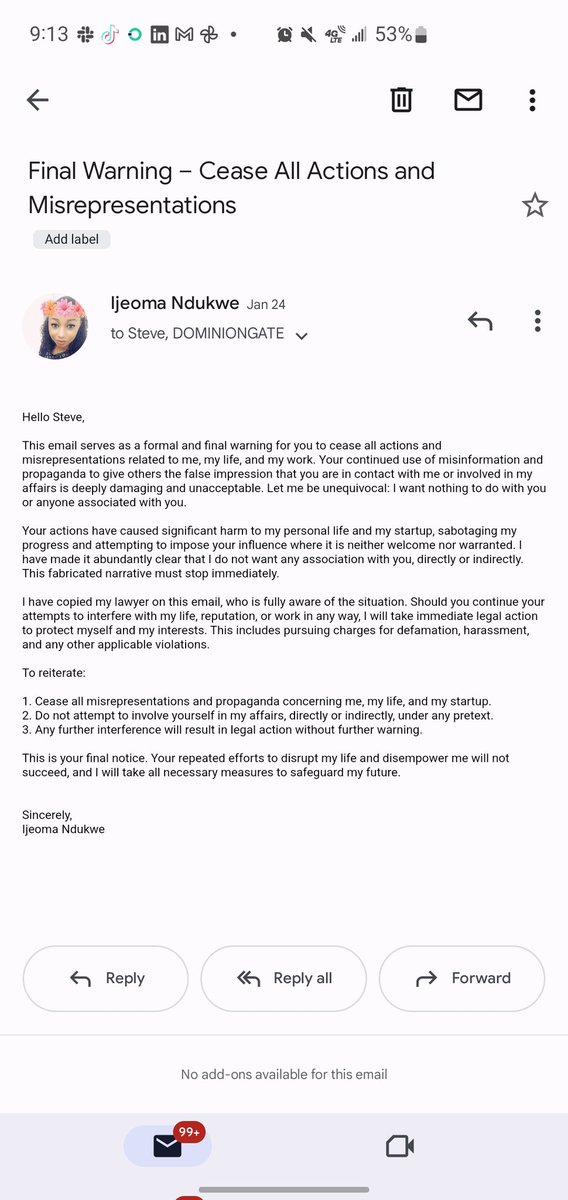 Sercleinc's tweet photo. I never shared any story of trauma with @AyodejiOsowobi, her org or any other org in the SGBV field. However, no day has gone by since  2018 that I haven't been plagued by stigmatizing and damaging narratives by her and her cohorts, using other people's sexual assault stories. https://t.co/nZYHMDIW9i
