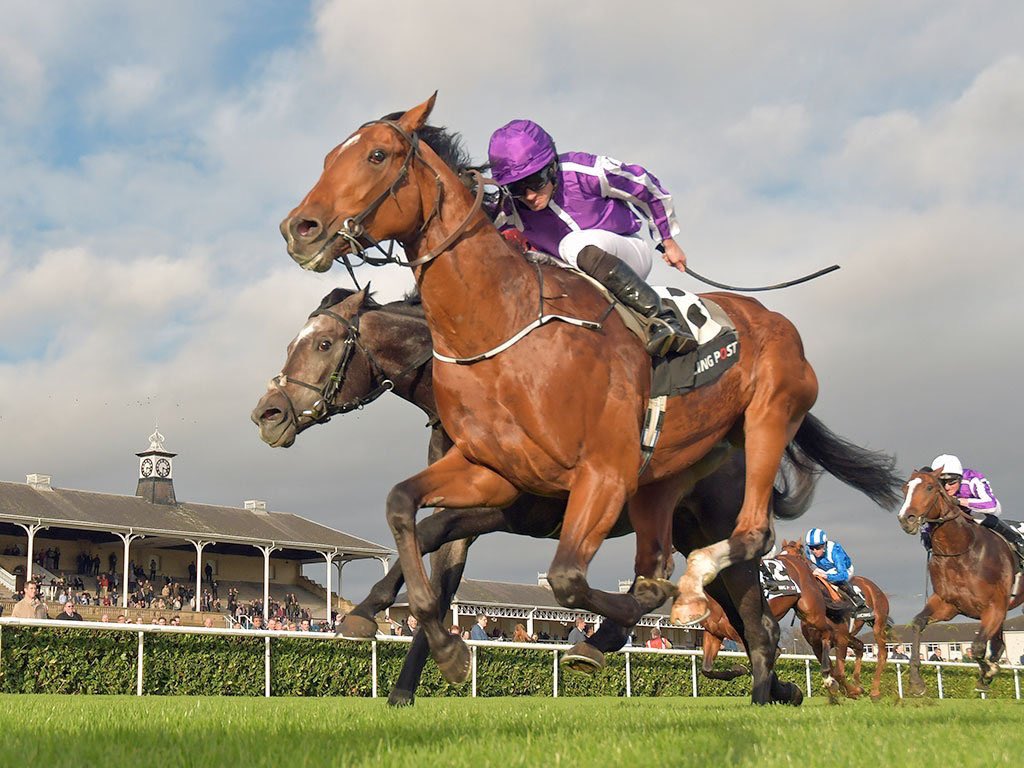 Here are the horses I’ve backed today 👀

Good luck all!

Classic Encounter (2.25 S) @ 13/2
Delacroix (3.35 S) @ 4/1
City Of Poets (4.12 S) @ 9/4

Point Of Contact (4.55 H) @ 15/8

#EnigmaHN