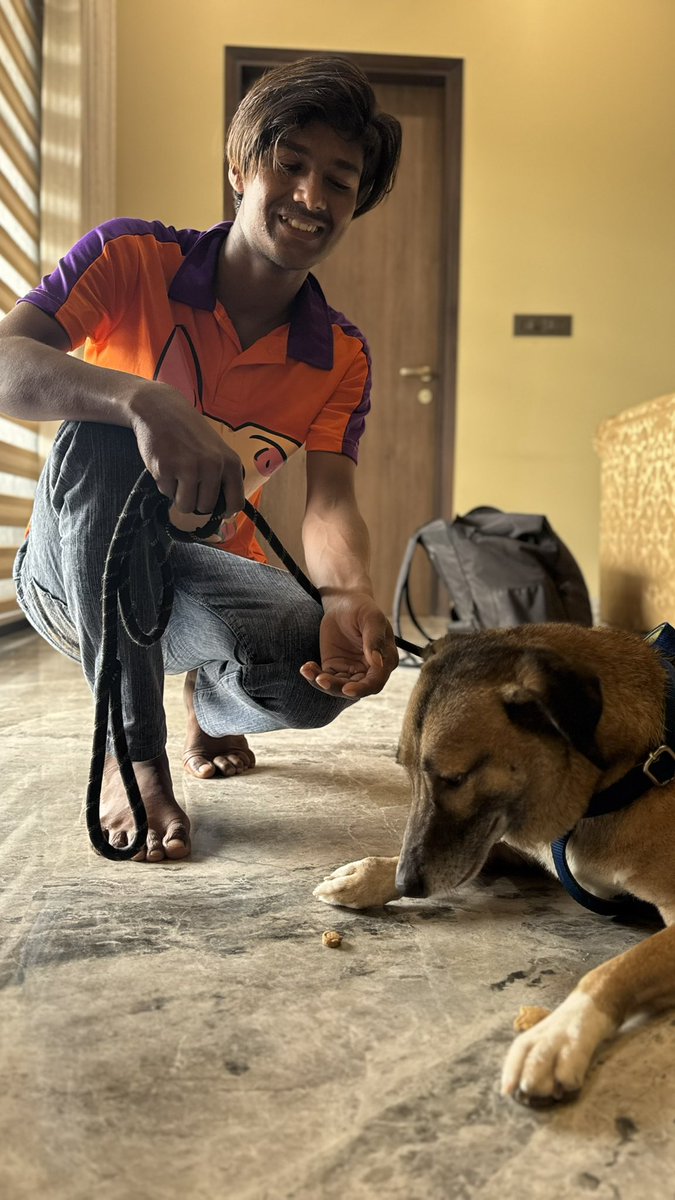 wesploot's tweet image. The masti in the morning -&amp;gt; grooming in the afternoon pipeline