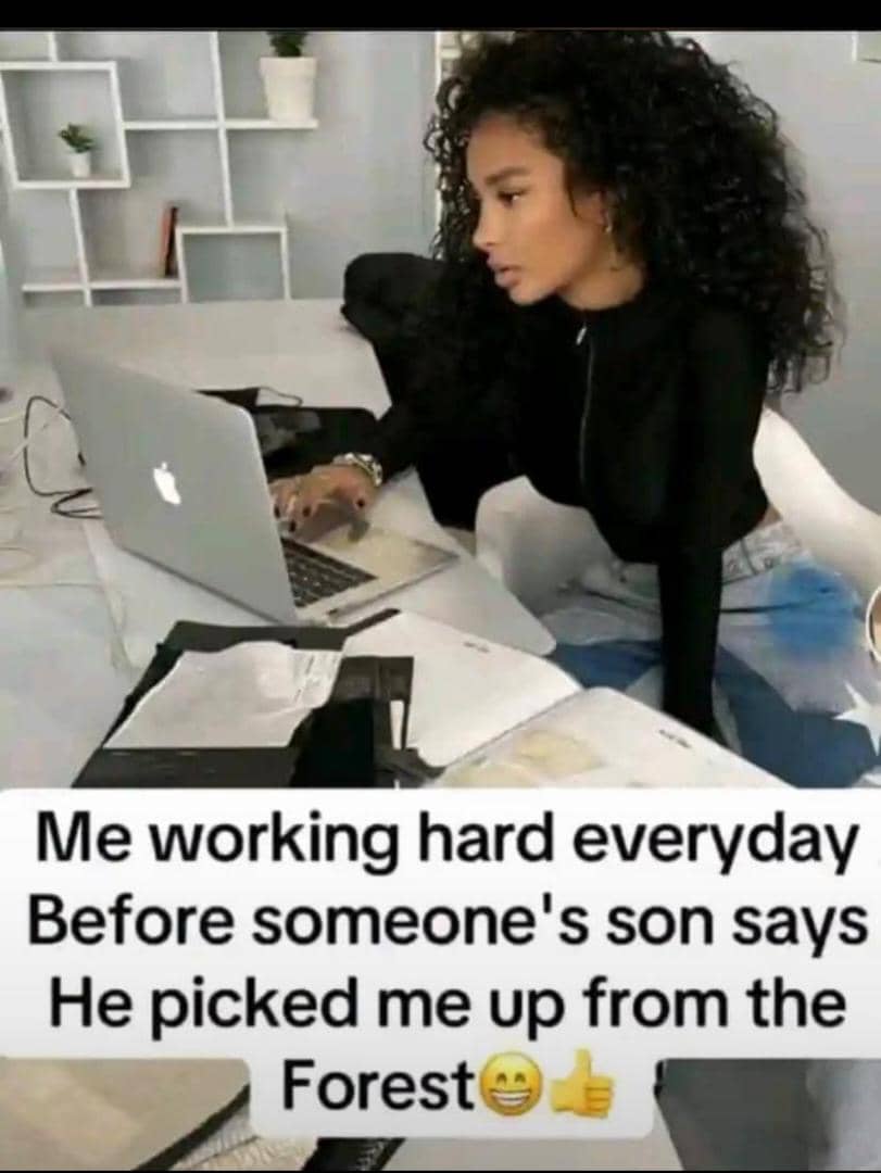 Zenox_Prime❤️ tweet media