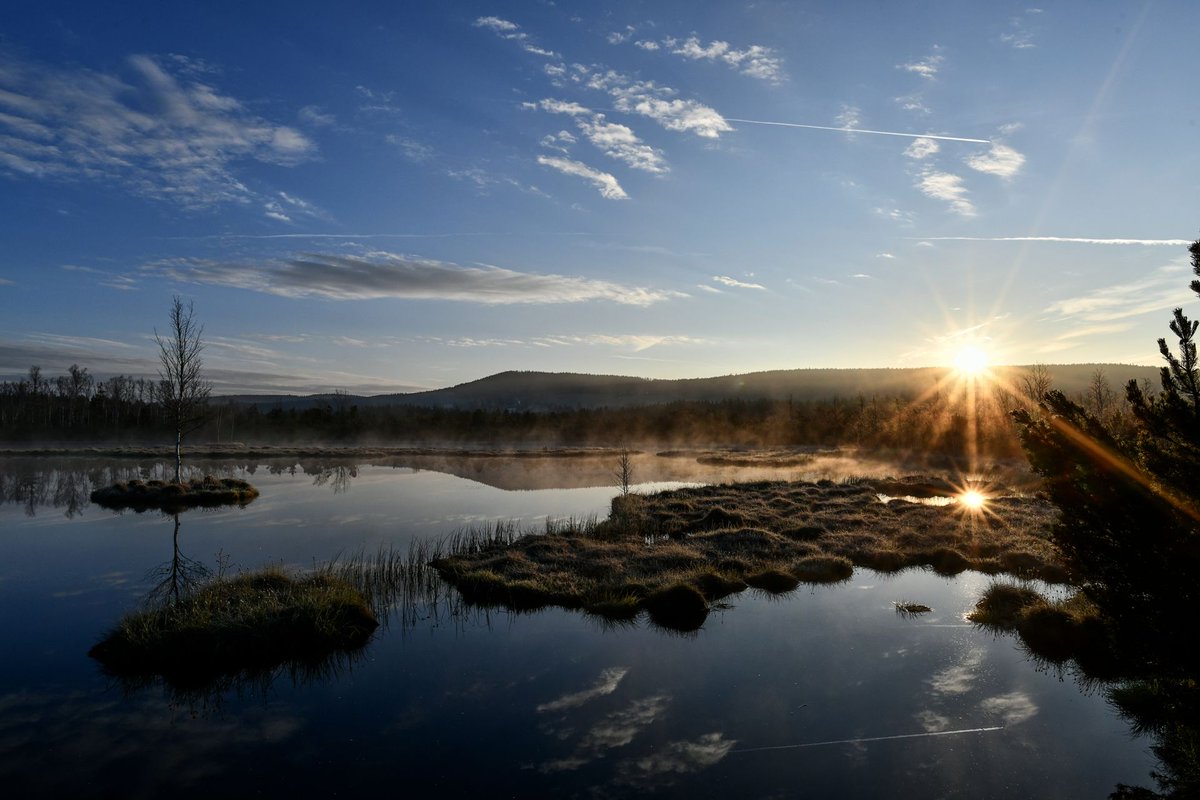 Šumava in the summer
visitczechia.com/en-us/things-t…