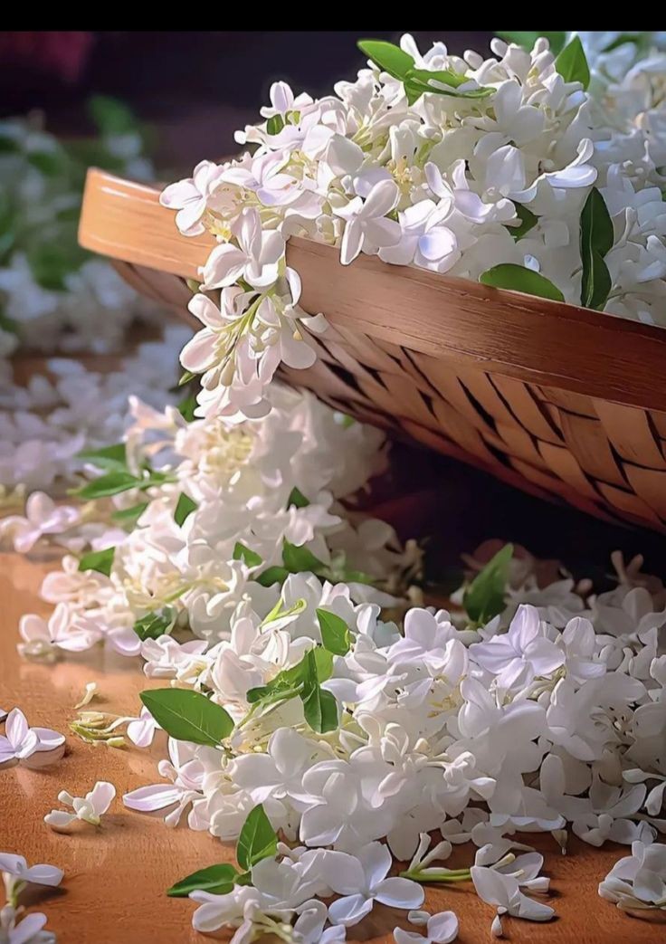 ْ
🤍
سلاما على كل من يملك وجهاً 
واحـــداً "ڪالياسمين" ڪـلمـا 
نـظـر إليه المتعبون استراحوا ..✓

    ȷɹ̤ᓘᒧĨ ɕĨɹɹɹᓄ♩🌱✨