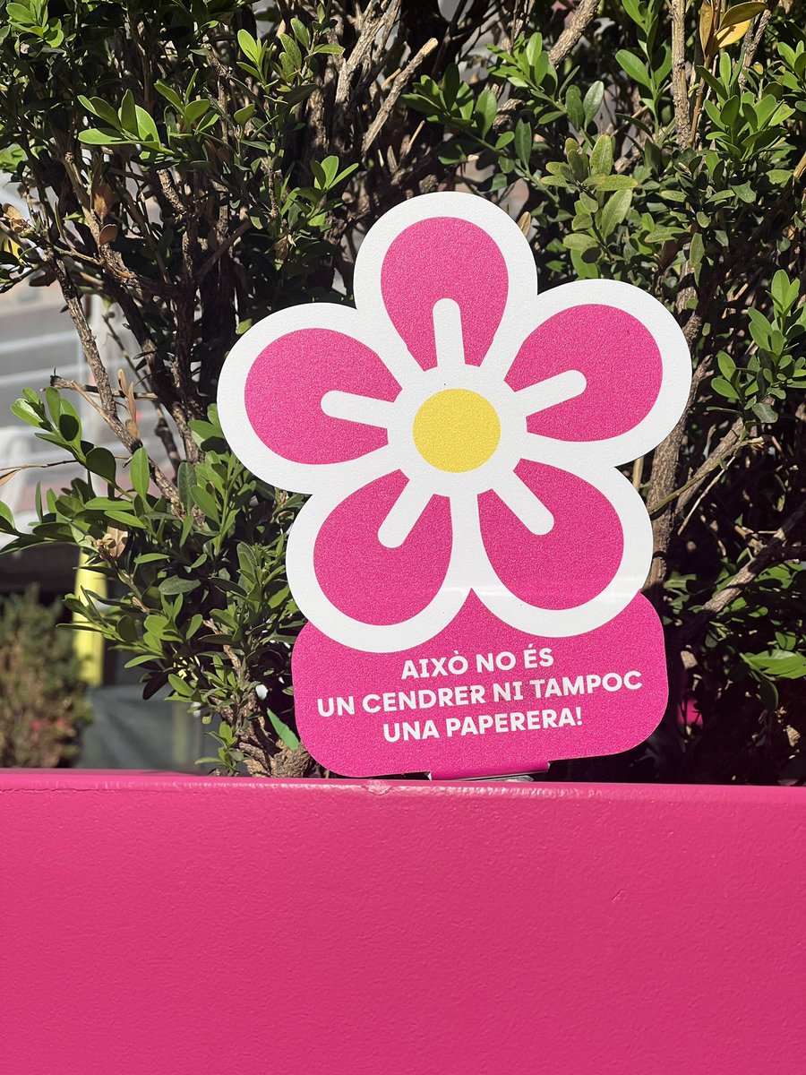 Pere Moles ——— (@pere_moles) on Twitter photo Quan una flor ha de recordar-te que un test no és un cendrer, és que cal cuidar més el carrer que trepitgem (🌸) ...
<a href="/comusantjulia/">Comú Sant Julià</a> Quan una flor ha de recordar-te que un test no és un cendrer, és que cal cuidar més el carrer que trepitgem (🌸) ...
<a href="/comusantjulia/">Comú Sant Julià</a>