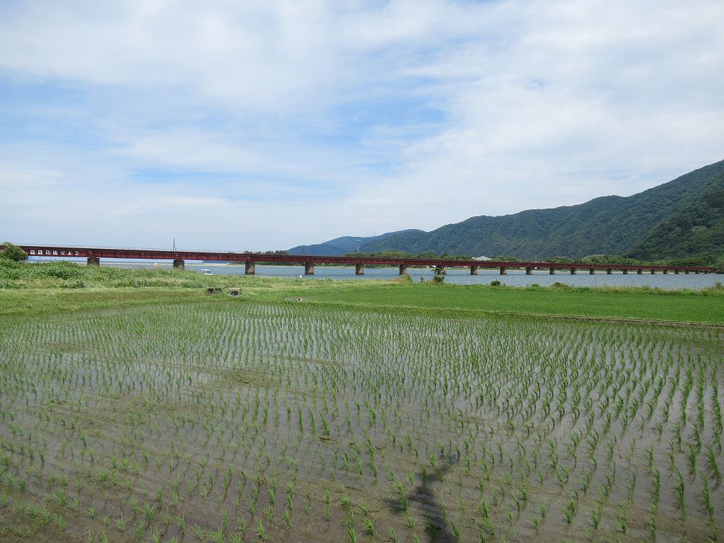 eki_no_mokuroku's tweet image. 【番外編】2025年、由良川橋梁(京都府)
#京都丹後鉄道 /宮津線
日本海に面した由良川河口に架かる由良川橋梁は、明石海峡大橋やレインボーブリッジなどを建設した横河ブリッジの前身・横河橋梁製作所が1923年に竣工した橋長551m、橋脚23基の上路プレートガーダー橋で、土木遺産に認定されています。