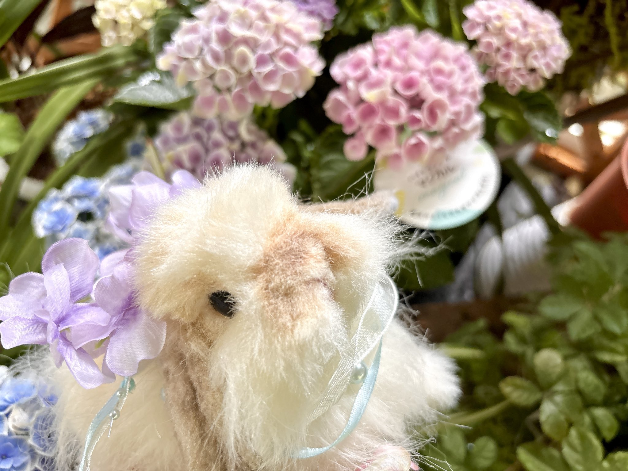 ハンドメイドのうさぎのぬいぐるみ(◍•ᴗ•◍)✧*。 ハンドメイドのうさぎのぬいぐるみ(◍•ᴗ•◍)✧*。