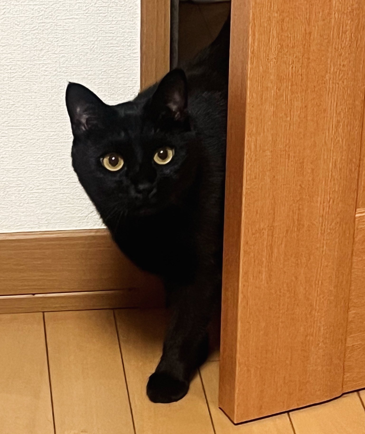 はつはるm2809 on X: 