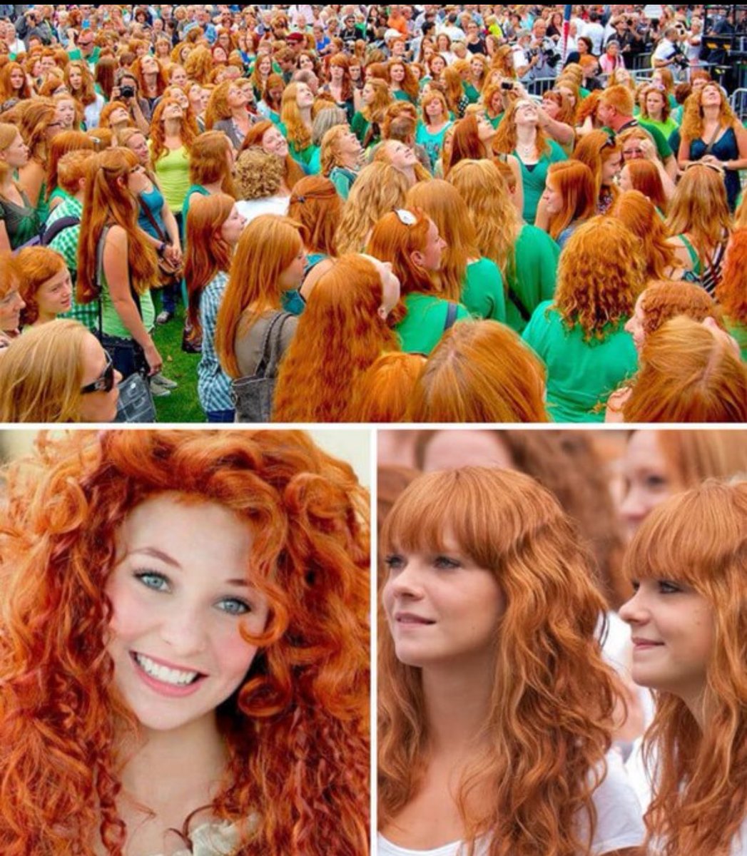 Concerned Citizen tweet media