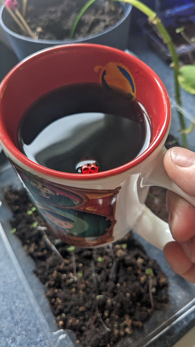 Hello everyone! So excited to see some of my #ChosenFamily  #Saturday night! Today's #blackCoffee ☕  #Coffee  #TwoRedStirrers  #RetiredLife Make the most of your day.  #24Hour  gift #payitforward  Take a moment to #breathe today #SelfCare first