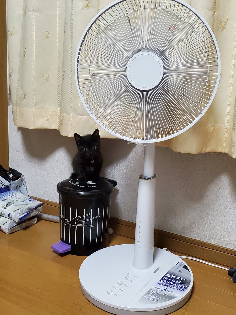 るのあ@mini tweet media