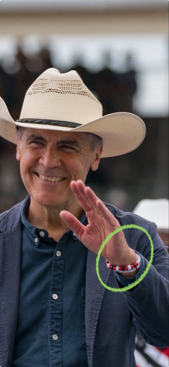 Concerned Canadian tweet media