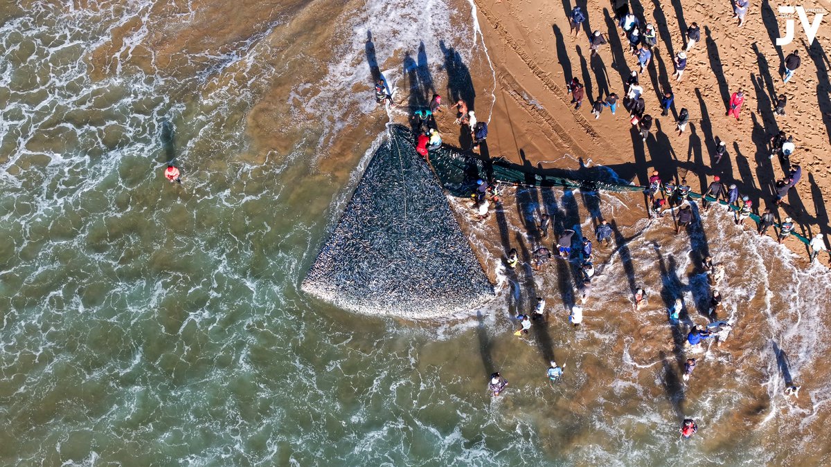 JuelzVisuelz's tweet image. Sardine Run 2025 | Winklespruit Beach | 05 July!

3 nettings and lotsa sardine shoals on the backline!

Stay tuned to catch all the action from the air and the surf! Also an epic Whale sighting from Warner Beach!

#SardineRun2025 #SardineRun #Sardines #TheGreatestShoal