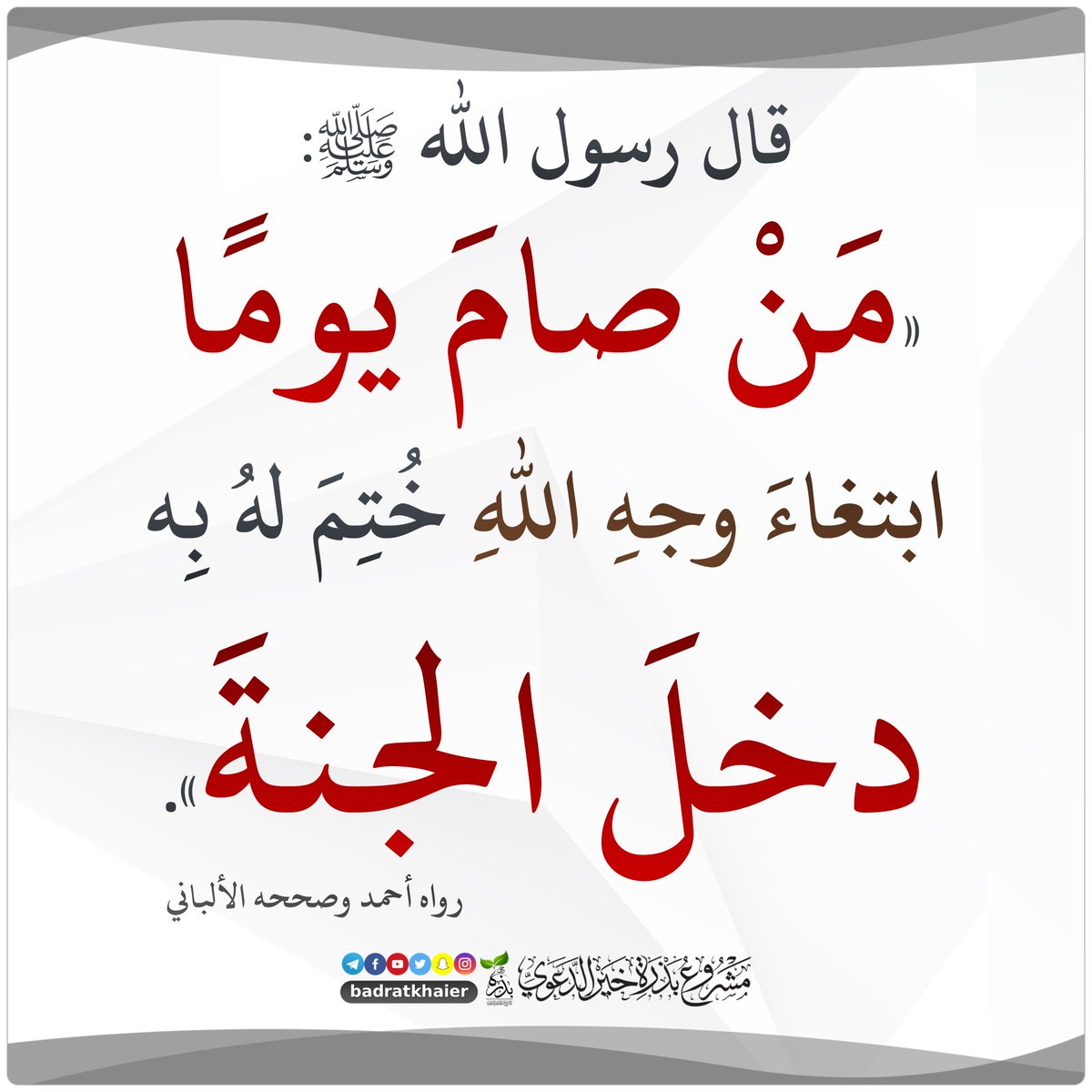 بذرة خير tweet media