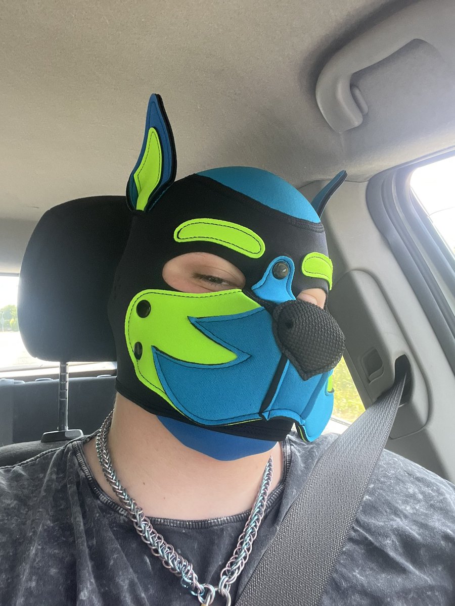 Smol_Pup_Sammy's tweet photo. Puppy gots a newww hood!! 🩵💚

#humanpup #humanpupplay #pupplay #pupplaycommunity #transpup #puppypride https://t.co/8W86V5ivj6