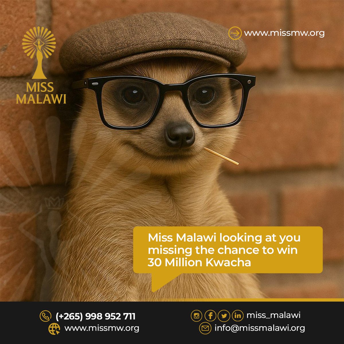 MissMwOrg's tweet photo. Inu 30 Million Kwacha ayi??

#missmw2025 #missmalawi #missmw https://t.co/sNNGeVuQ2y