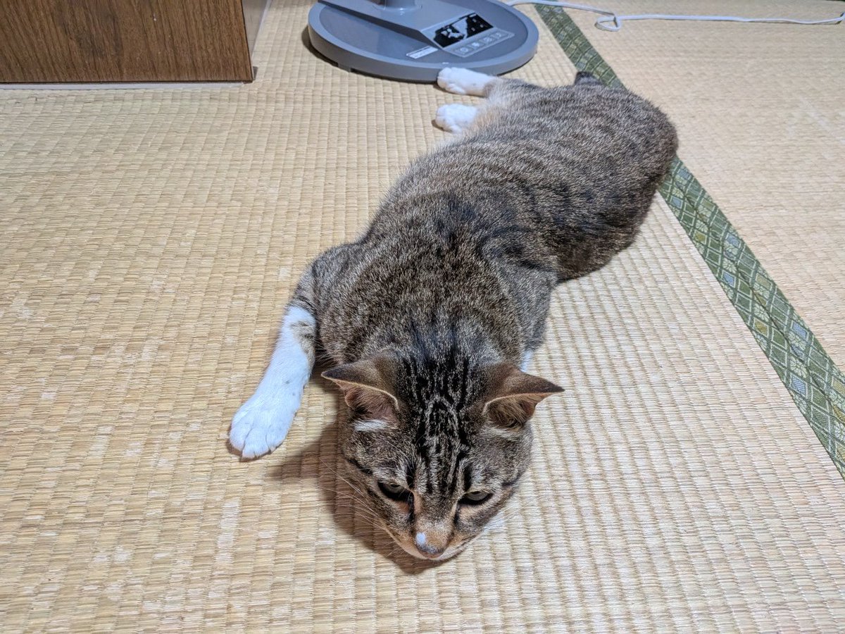 Yosuke Hamada tweet media