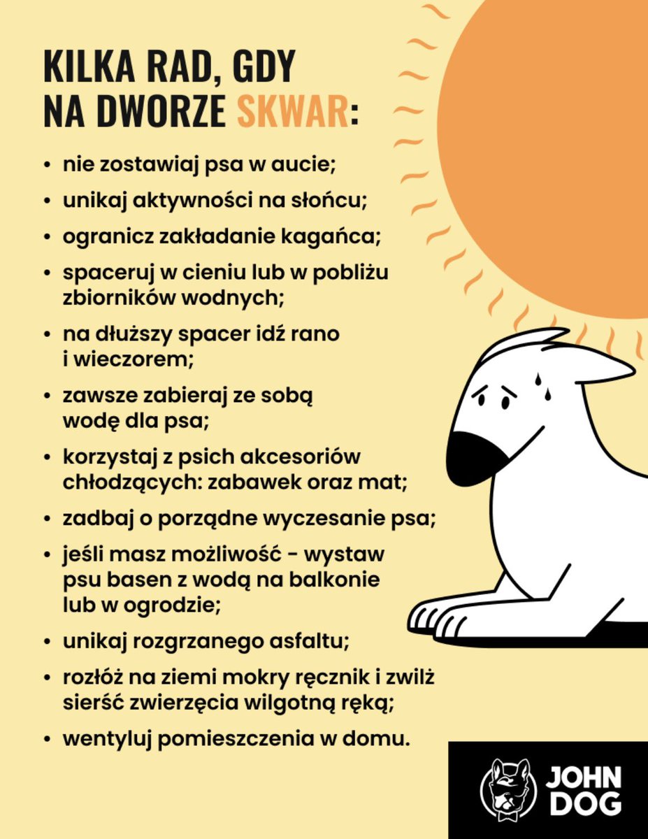 Maja Staśko 💙💛 (@majakstasko) on Twitter photo 