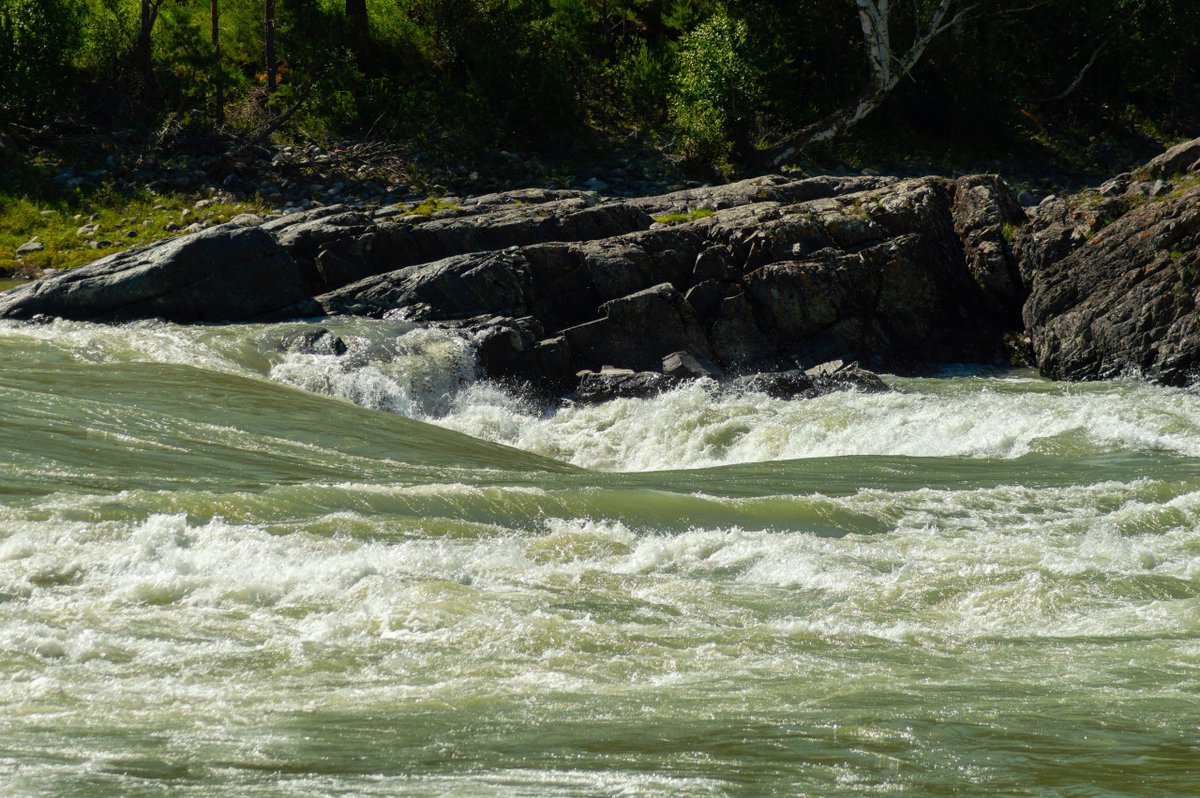 str1ve🦊 (@str1ve21) on Twitter photo 