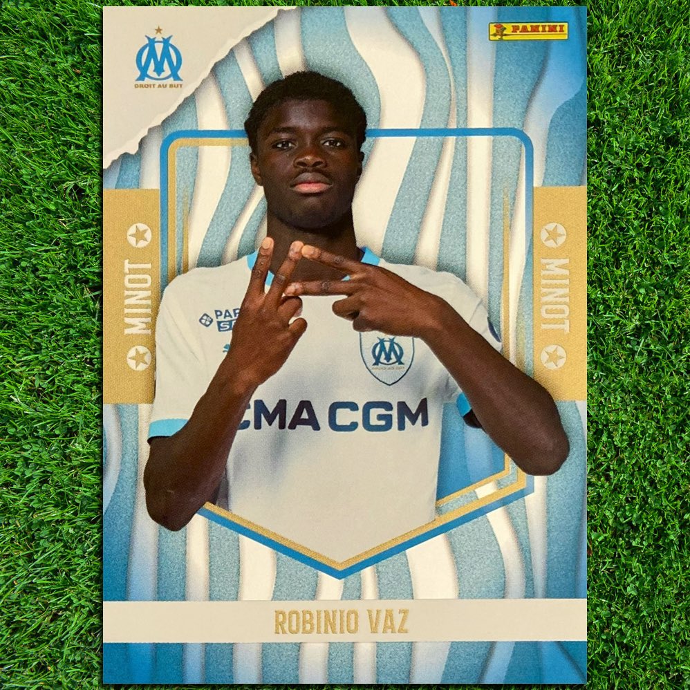 OM Trading Cards tweet media
