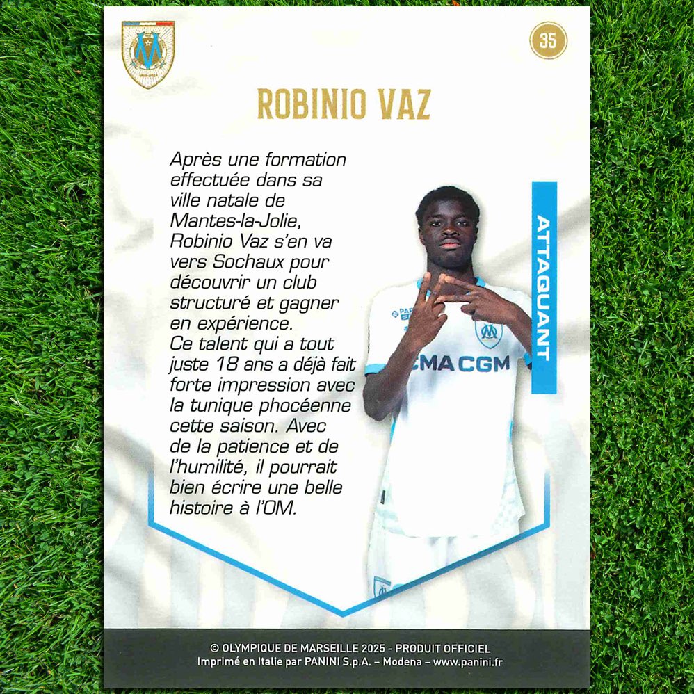 OM Trading Cards tweet media