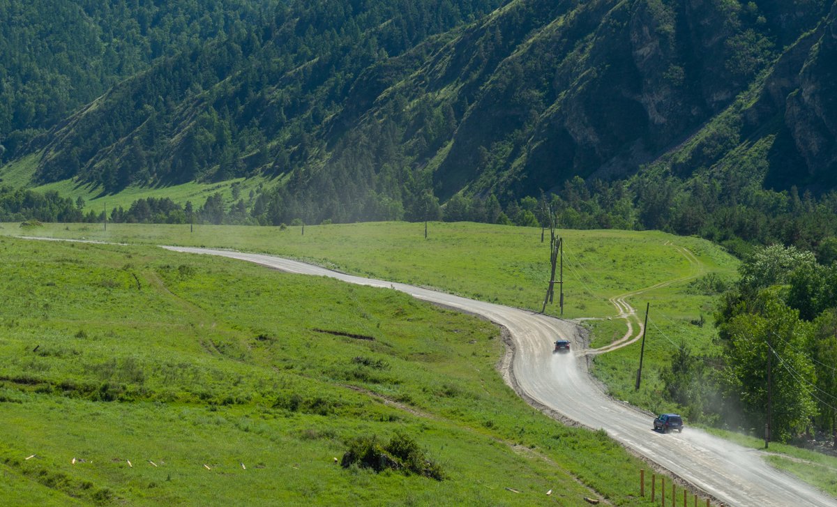 str1ve🦊 (@str1ve21) on Twitter photo 