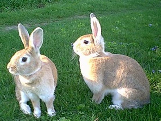 FM80210's tweet photo. 🐇早川さんこんばんは。今、#グラングリーン大阪 にいます。
先週の今頃いた大阪城野音とは違って、気持ちいいです。
今日は久しぶりの勉強会。帰りにグラングリーン大阪で気持ち良く休憩中です。そこは、FM802DJや、ゆかりのあるアーティストがお気に入りかつ重宝しています。
#MN802 https://t.co/KsaJWgdVgH