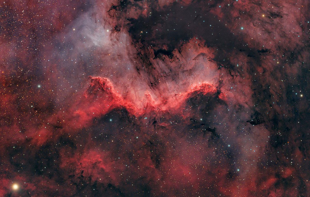The North America Nebula  NGC 7000  is an emission nebula visible in the constellation Cygnus, located  near Deneb.The shape of the nebula resembles the North American continent.
🔭Askar fra600  
📸Zwo Asi2600mc duo
⚙️Zwo Am5
#Optolong filters #L-Para,L-QEF
Credit:Gianni Lacroce