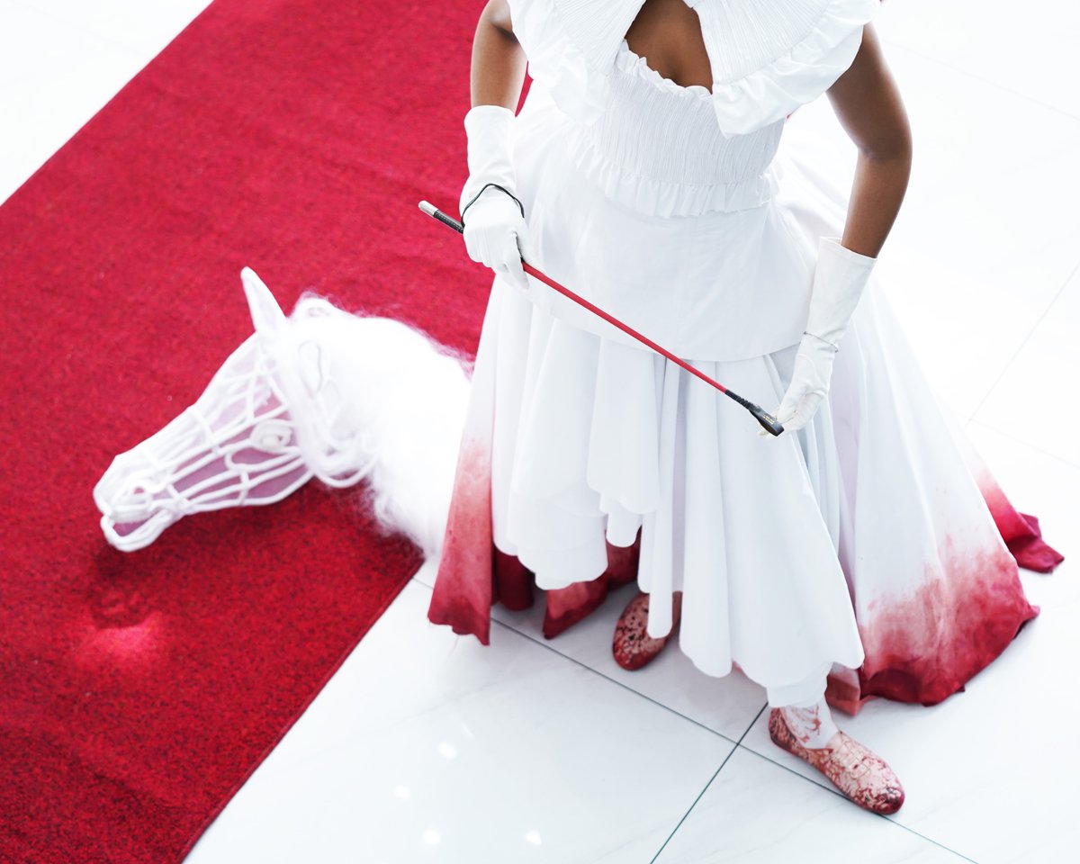 NSPCA South Africa tweet media