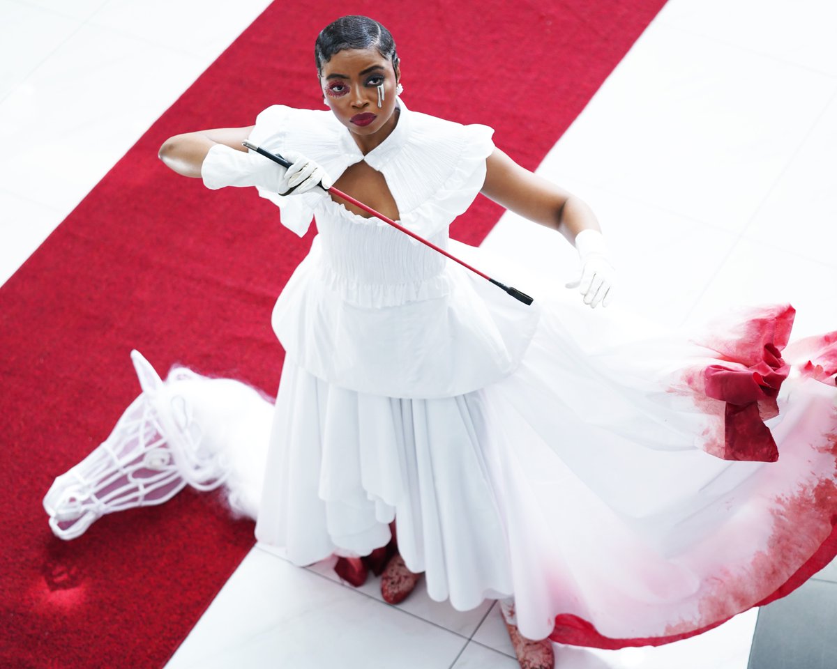 NSPCA South Africa tweet media