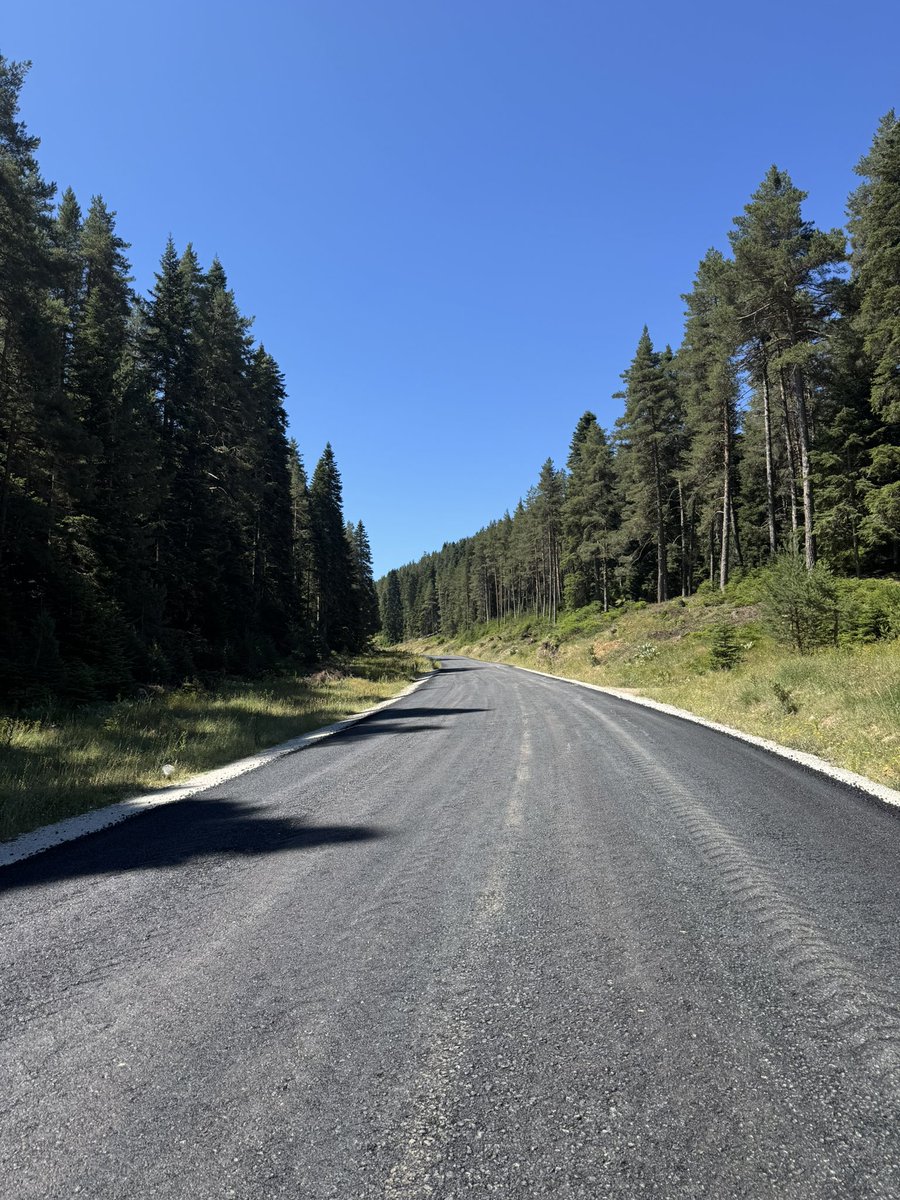 Birdcatcher01's tweet photo. 🌲 https://t.co/I0Etoh0qMG