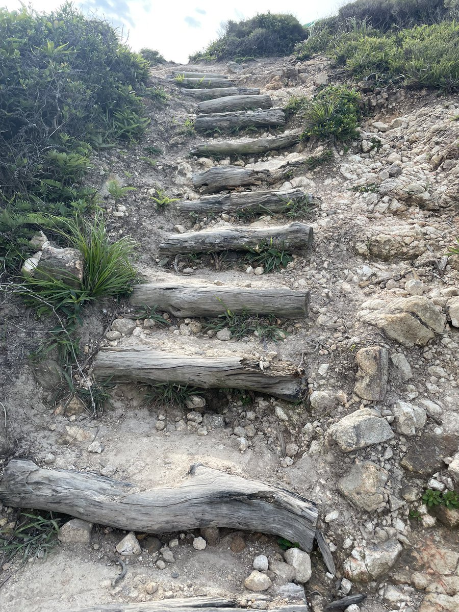 背包健客 tweet media