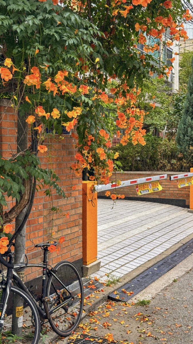 오오 !! tweet media