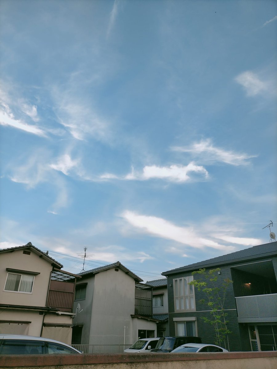 MysticModem's tweet image. 今日の散歩は涼しくて 気持ち良くて とっても嬉しくなりました☺️𓂃