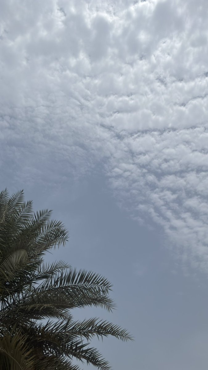 لا تستعجل أمراً رجوت الله به فخيرُ اللهِ سيأتيك و لو بعد حين💙.