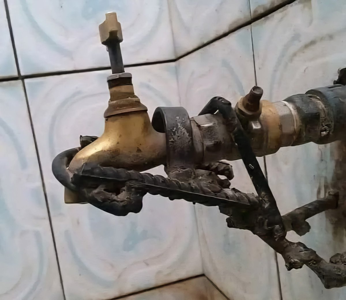 كنتم خير أمة أخرجت للناس