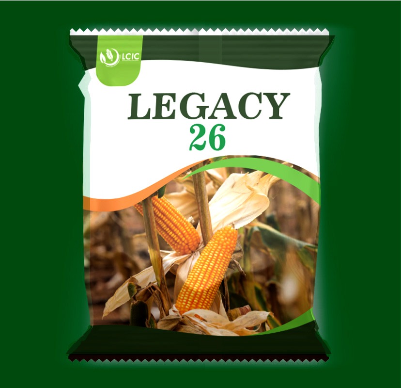 *Beat the Weather with Legacy 26! 🌽*

Don't let erratic rainfall destroy your harvest. Legacy 26 is your climate-smart solution - engineered for early maturity and built to thrive despite unpredictable weather patterns.

✅ *Early maturity* - Harvest before the dry season hits