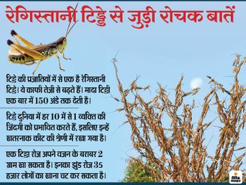 <a href="/officeofvijay1/">विजय पाठक</a> <a href="/vinaysh23222112/">विनय शुक्ला संघर्षी (मोदी का परिवार)</a> जब टिड्डी दल किसान की फसलों पर आक्रमण करता है तो वो किसी भी पेस्टीसाइड की परवाह नहीं करता। वो तबाह करने की राह पर पूरी गति से आगे ही बढ़ता रहता है। इसकी प्रजनन की क्षमता अविश्वसनीय रूप से बहुत ज्यादा होती है। यह बहुत खतरनाक माने जाते हैं।