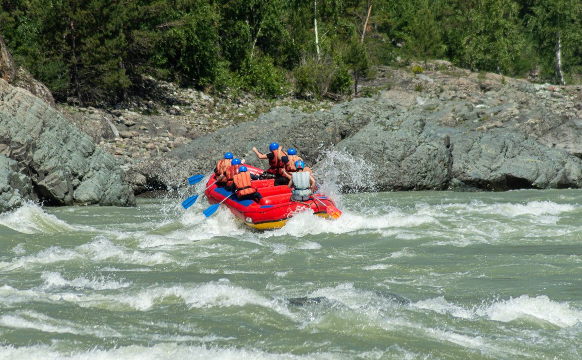 str1ve🦊 (@str1ve21) on Twitter photo 