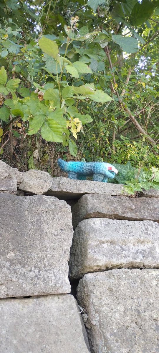 不慮 (@f____ryo) on Twitter photo 