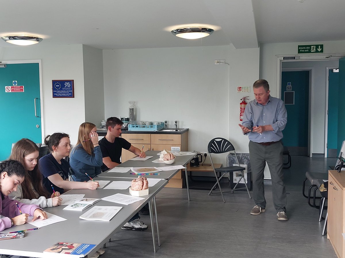 dr_angharad's tweet photo. .@OliverTurnbul15 Darlunio'r ymenydd / Drawing the brain and demonstrating proprioception! https://t.co/8Zn923k40F