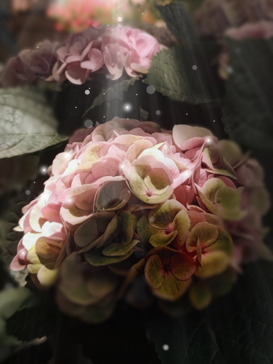 Habt ein schönes Wochenende💞

Image by Mikalin