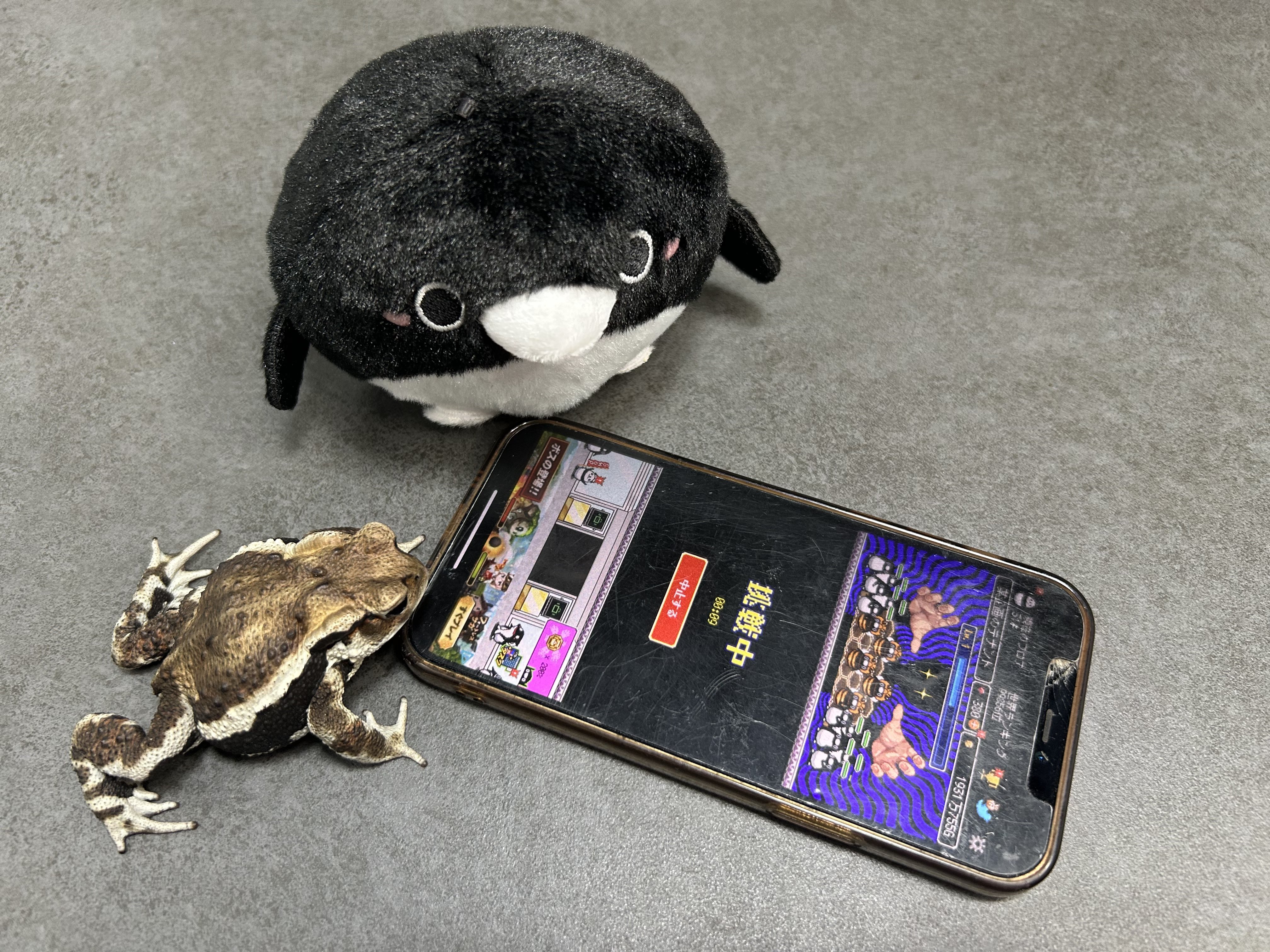 〔おーちゃん様〕 Amazon | 1PZ JP2-AH8 オートチョーク 耐久性 ホンダ スーパー