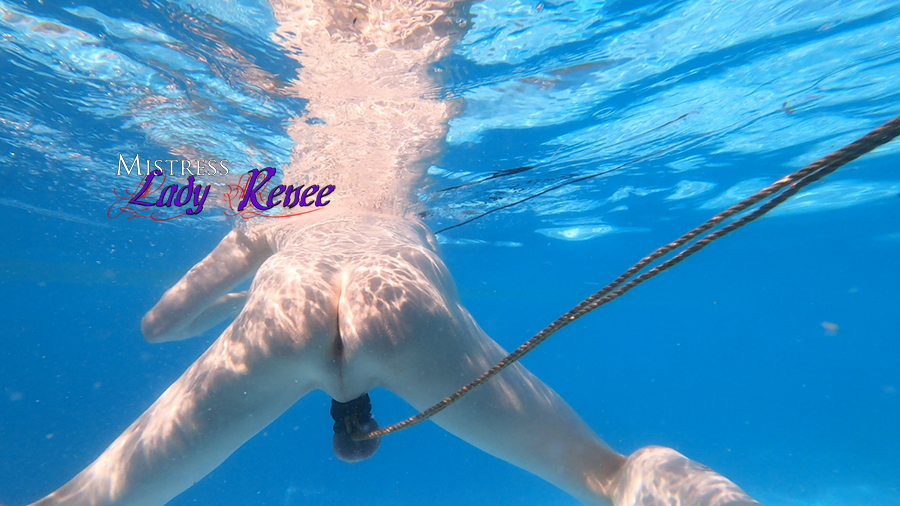 Mistress Lady Renee (@ladyrenee_) on Twitter photo 