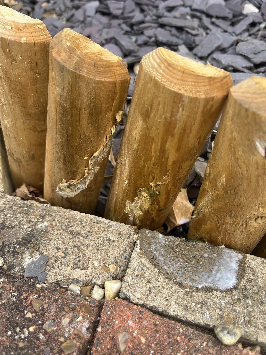 tracy_lorraine's tweet photo. Hi @RoyalMail, please teach your staff how to drive so they don’t break our new fence strip. She saw me look at her through the window when I heard the noise and just drove off. https://t.co/2zOS6n8r8Z