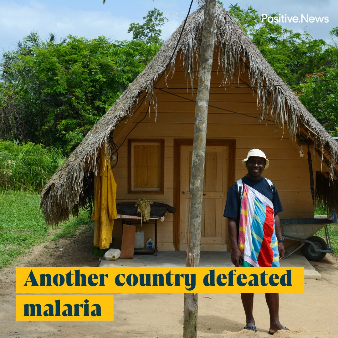PositiveNewsUK's tweet image. Suriname has become the first nation in the Amazon region to be certified malaria-free by the World Health Organization
positive.news/society/good-n…