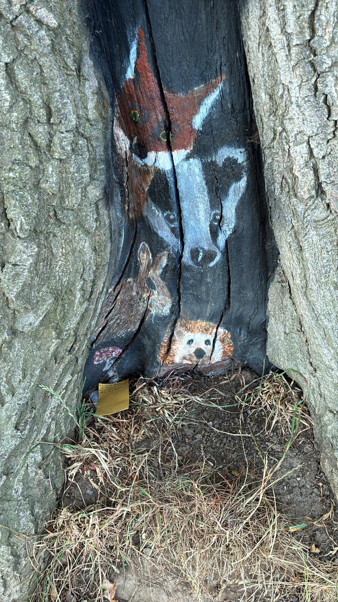 We installed a bench about 20 years ago on the highest part of the farm for folk to enjoy the views. This inspired little bit of artwork has just ‘appeared’ on the bottom of an adjacent tree